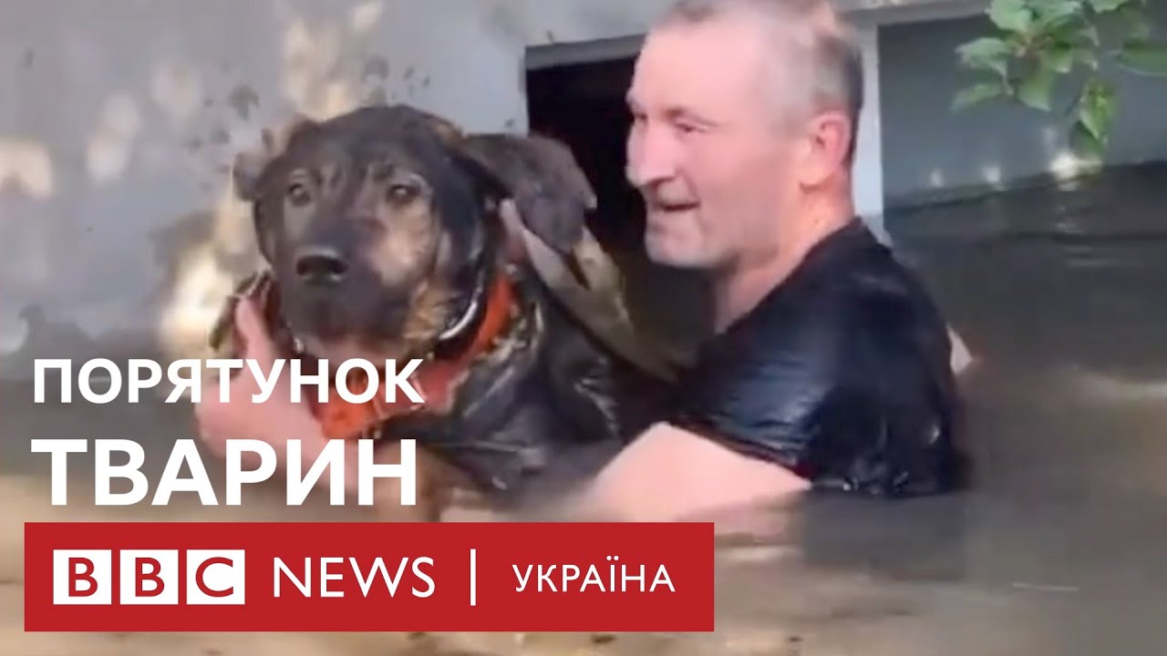 Підрив Каховської ГЕС. Як українці рятують тварин на затопленій Херсонщині
