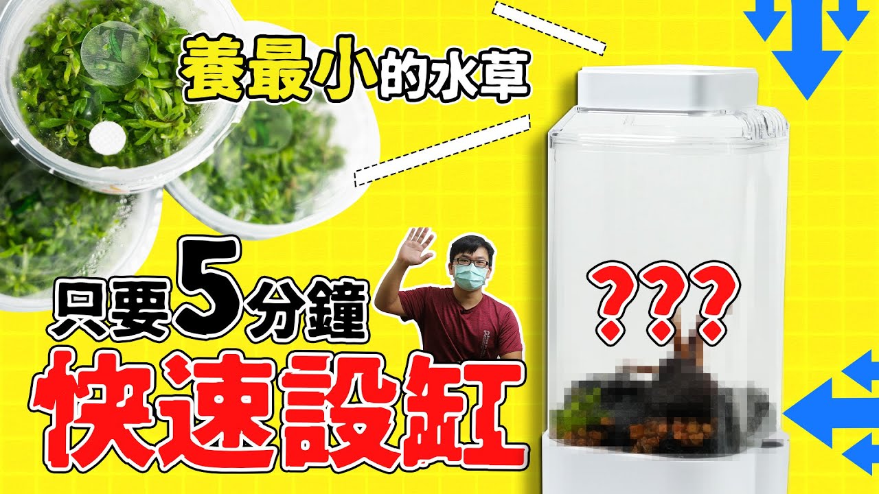 就是它！我終於敢在辦公室