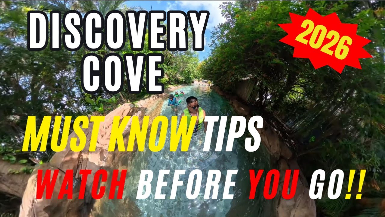 Discovery Cove 2026: Insider Tips & Booking Hacks for Families 🌊🐬