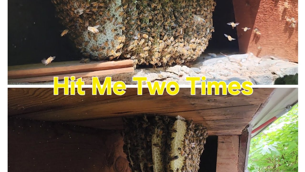 Hit Me Two Times