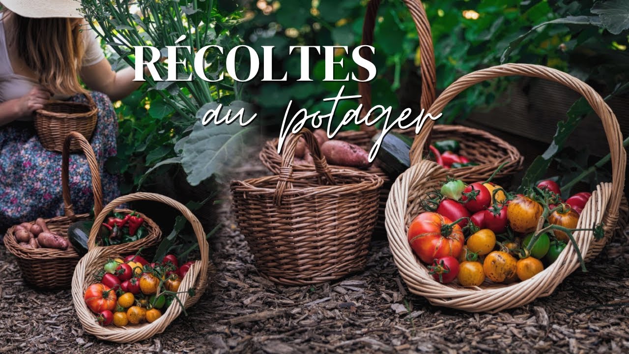 Slow VLOG | Récolte et conservation du potager