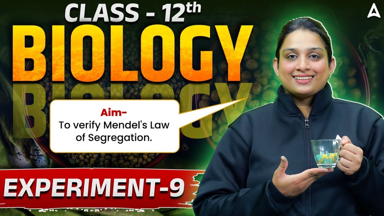 Class 12 Biology Experiment 9 | Complete Step-by-Step Practical | Verify Mendel's Law of Segregation