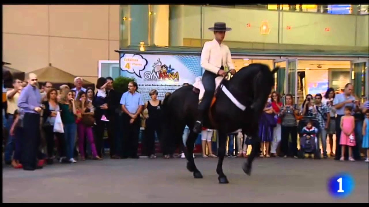 CELEBRACIÓN DEL ROCIO -  Centro Comercial El Muelle - RTVE