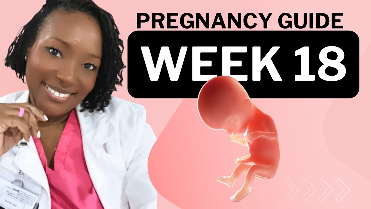 18 Weeks Pregnant: What To Expect