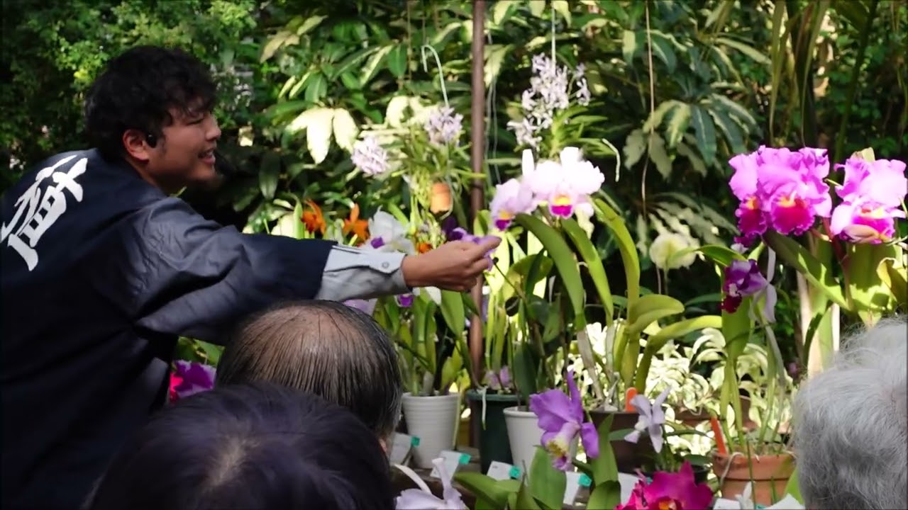 洋ラン展の入賞花と成栗さんのガイド風景