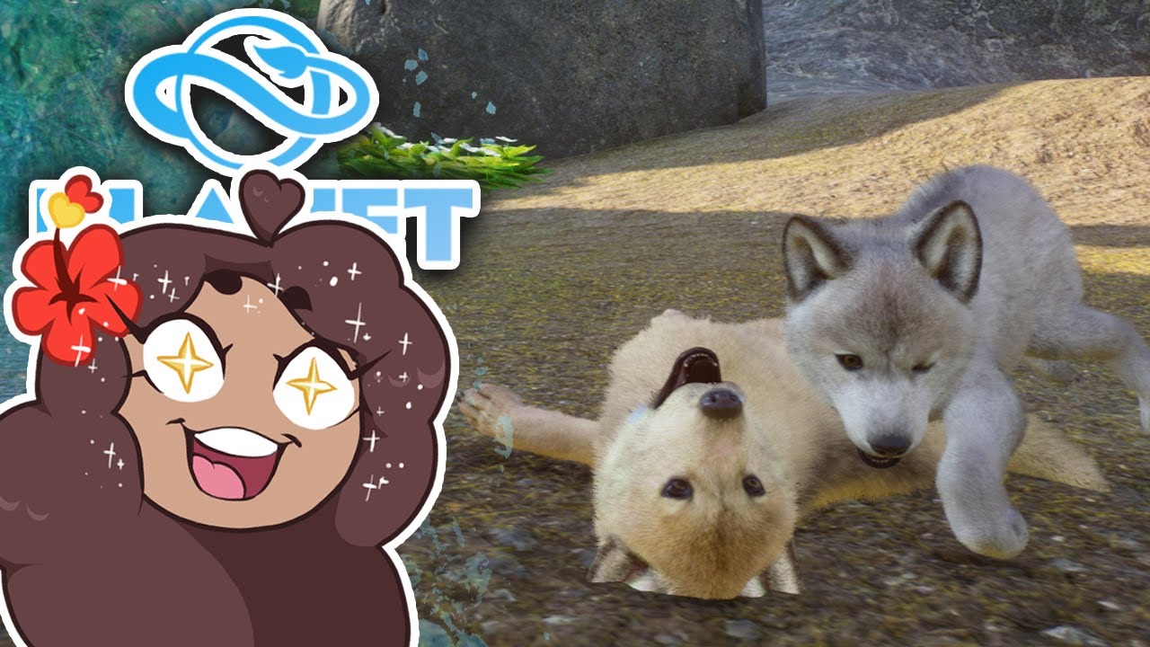 The WOLF PUPS of the Glacier Arctic Pack!! 🐏 Planet Zoo: Ice Ice Outpost &bull; #2