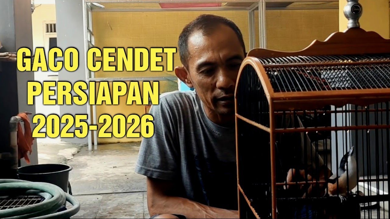 Review bahan burung cendet