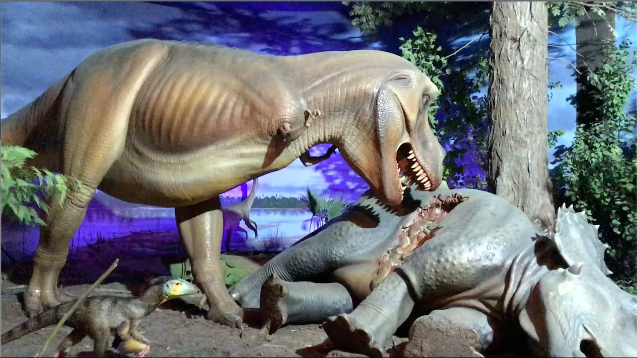 A Walk Through the Milwaukee Public Museum