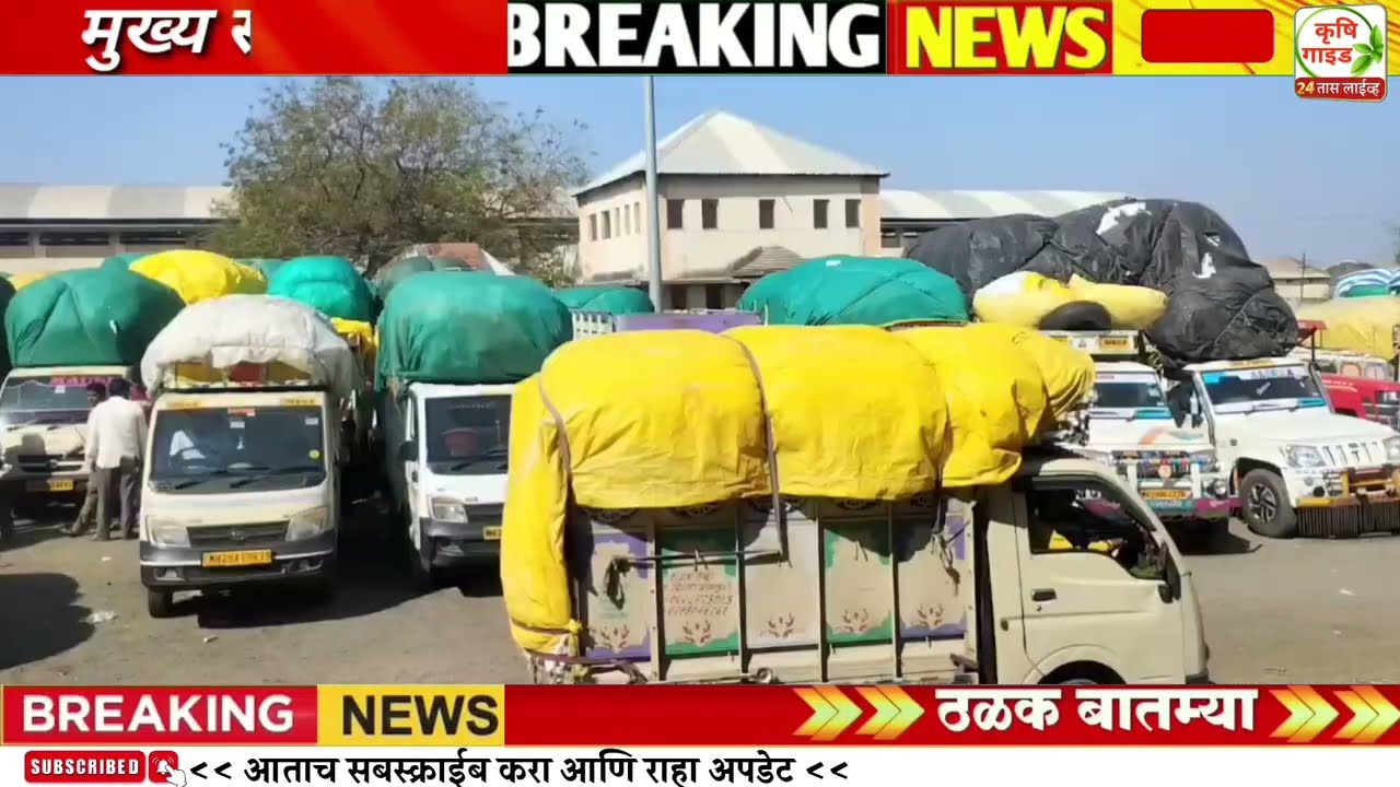 14 मार्च शेतकऱ्यांच्या ठळक बातम्या l अखेर कर्जमाफी मंजूर ! नमो शेतकरी ₹2000 जमा l पिक विमा GR