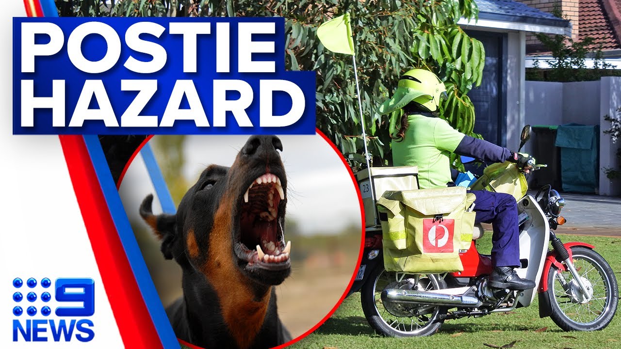 Australia Post’s plea to dog owners as attacks on posties rise | 9 News Australia