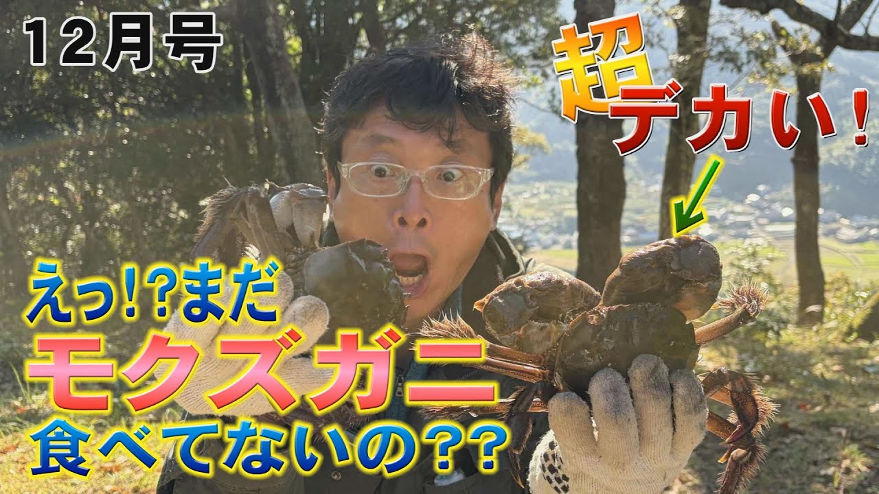2025 1128 行き当たりバッチリ!!11月号「え？まだモクズガニ食べてないの？」