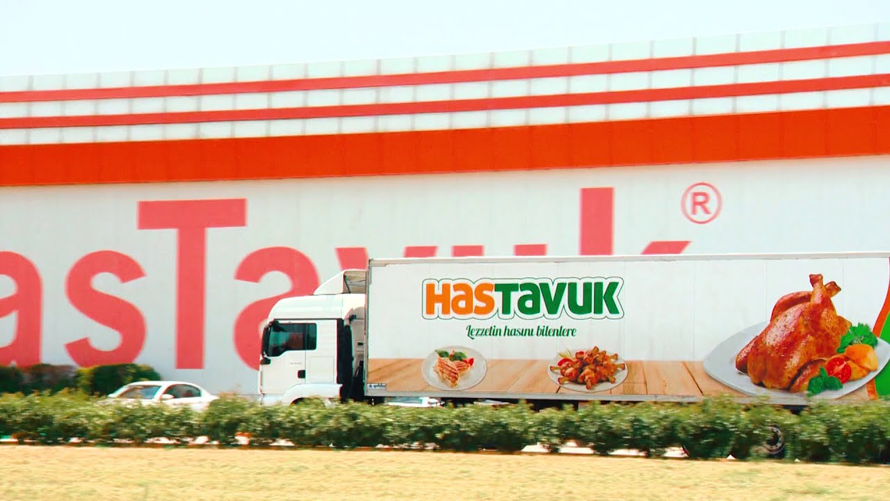 HasTavuk Genel Tanıtım (ENG)