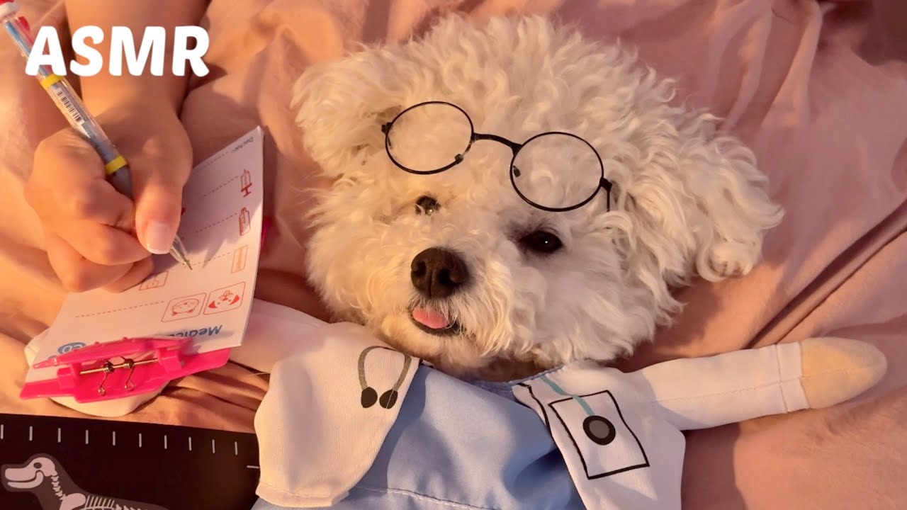 зубной зубной стоматолог ASMR 🐶