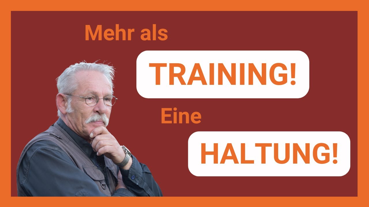 Mehr als nur Training – So funktioniert Natural Dogmanship®
