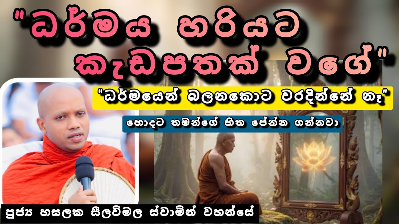 සිත හා එහි ස්භාවය |#852බණවර |#revhasalakaseelawimalathero |2026.01.22