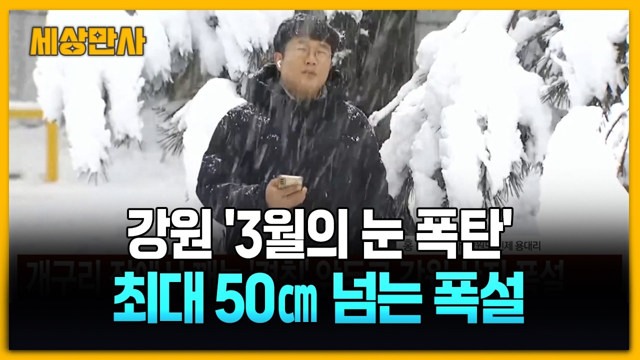 강원 산지 50㎝ 폭설…습설에 시설물 피해 우려 [세상만사] #날씨 #강원 #눈폭탄
