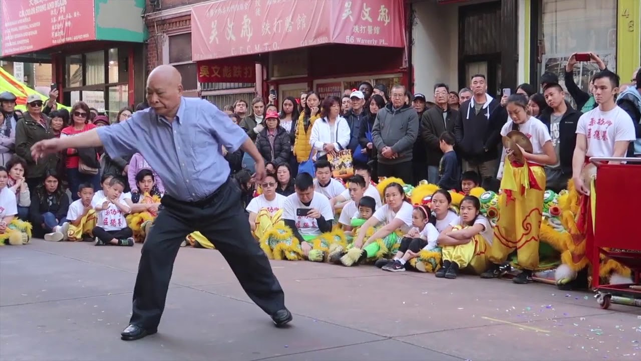 Grandmaster YC Wong, Ten Elements Fist 十形拳