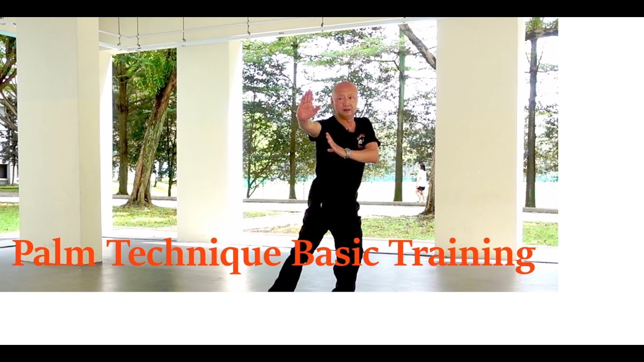 How to start to learn Kung Fu : Kungfu Republic Lesson in Singapore - Palm Techniques for beginners