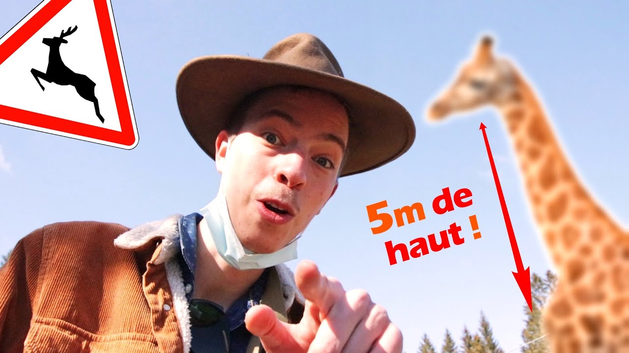ON CONSTRUIT UNE GIRAFE GRANDEUR NATURE !