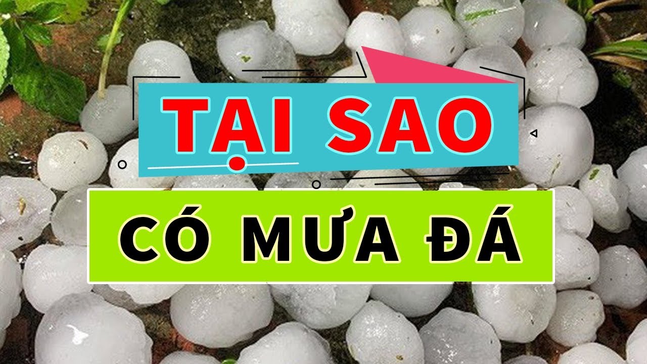 #006: Giải m&atilde; hiện tượng Mưa Đ&aacute; - Tại sao lại c&oacute; Mưa Đ&aacute;? Tri Thức Quanh Ta (TTQT)!