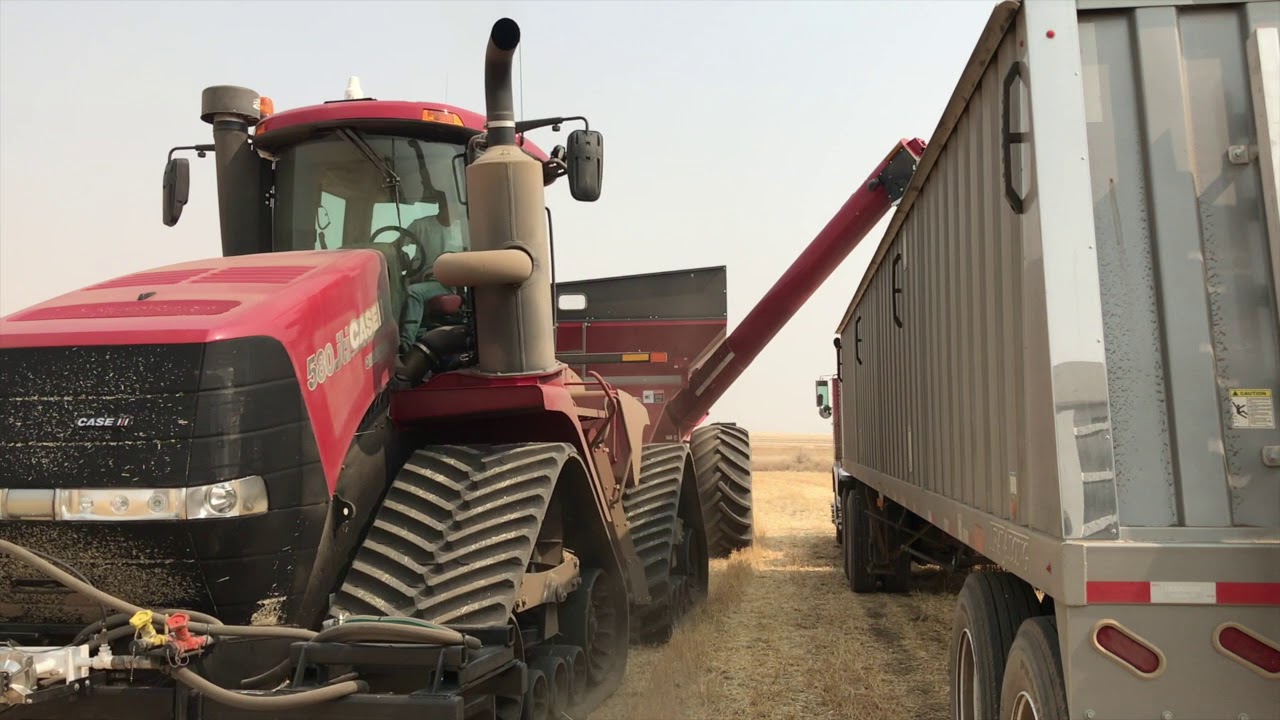 Eastern Washington Palouse Wheat Harvest 2018