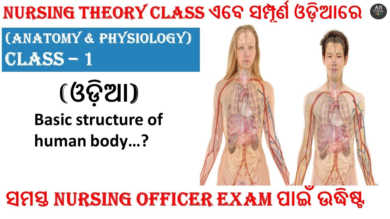 ANATOMY II BASIC STRUCTURE OF HUMAN BODY II ODIA NURSING CLASS II NURSING OFFICER EXAM CLASS