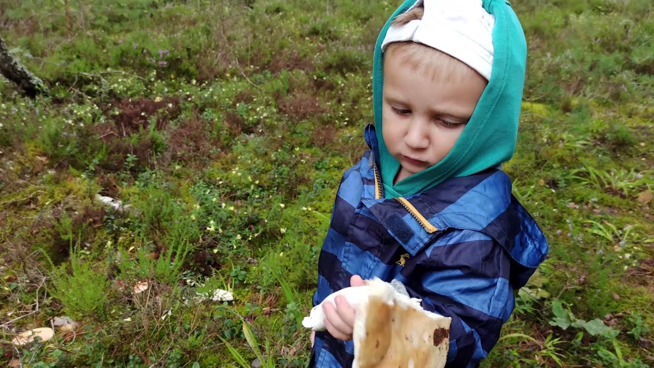 Dabas Pētnieki - Iesim sēņot? Kā atšķirt labās un indīgās sēnes? Video bērniem. Mācāmies kopā.