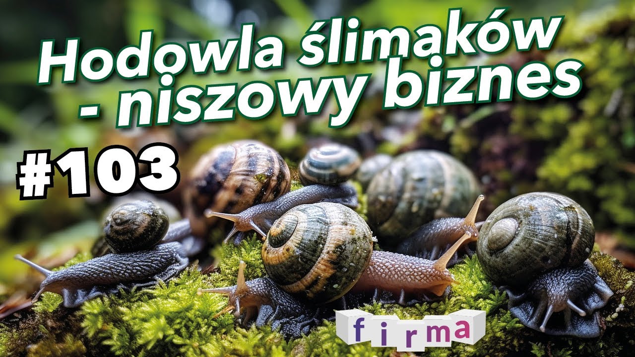 Hodowla ślimak&oacute;w &ndash; niszowy biznes #103