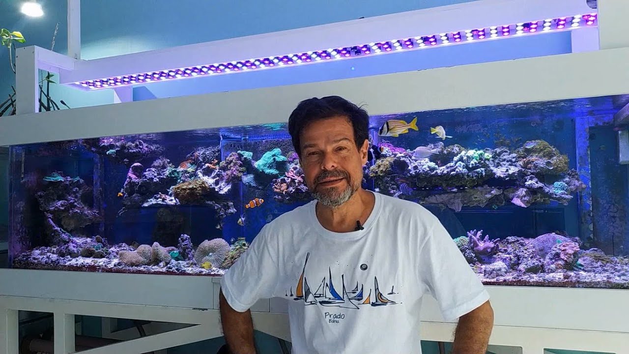Ciano Bactéria: Como Combater - Aquashow - Parte 162