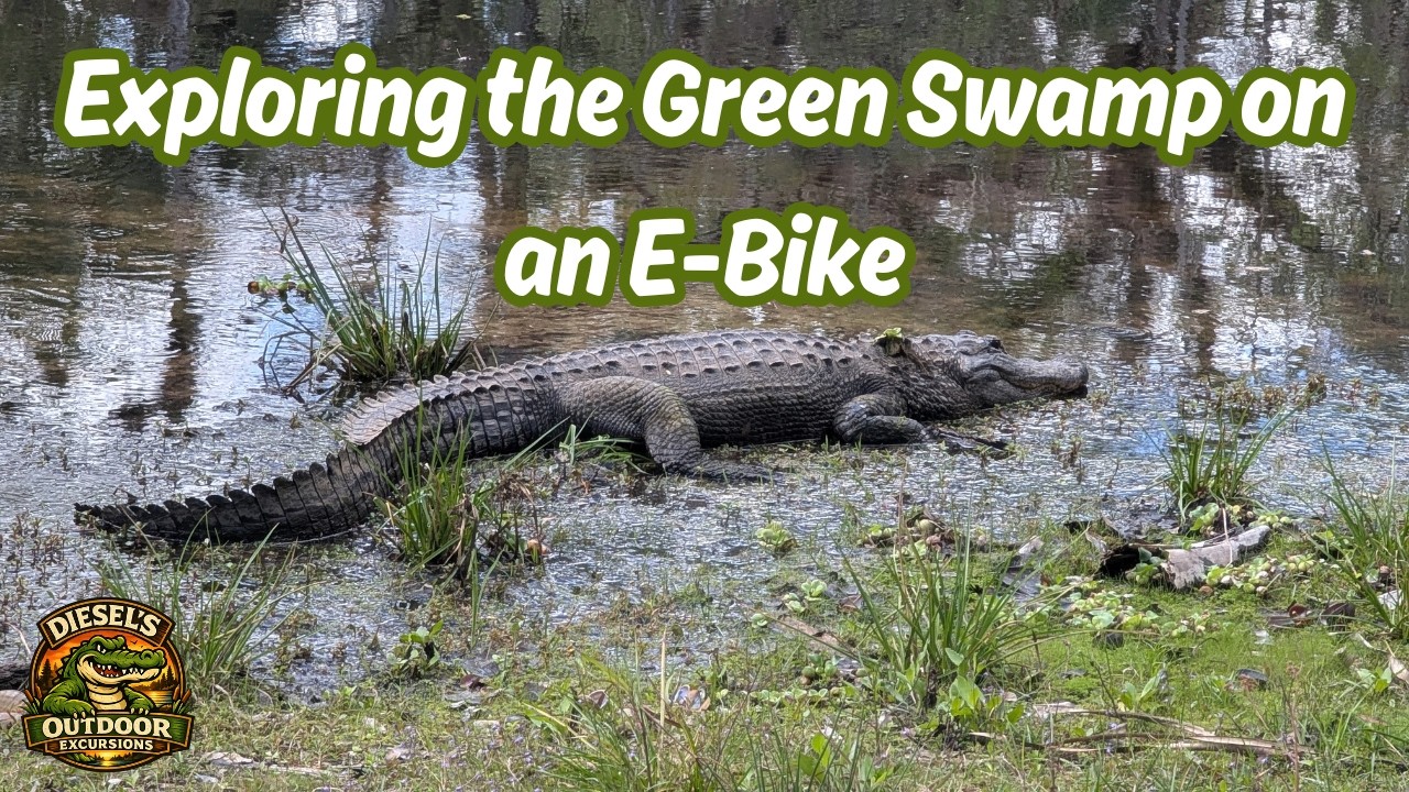 Исследование трассы Green Swamp East Track на электровелосипеде.