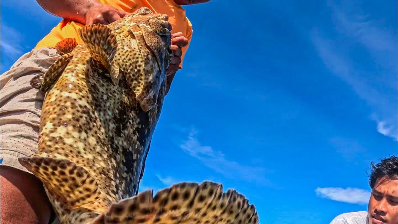 pinakamahal na isda sa Pilipinas