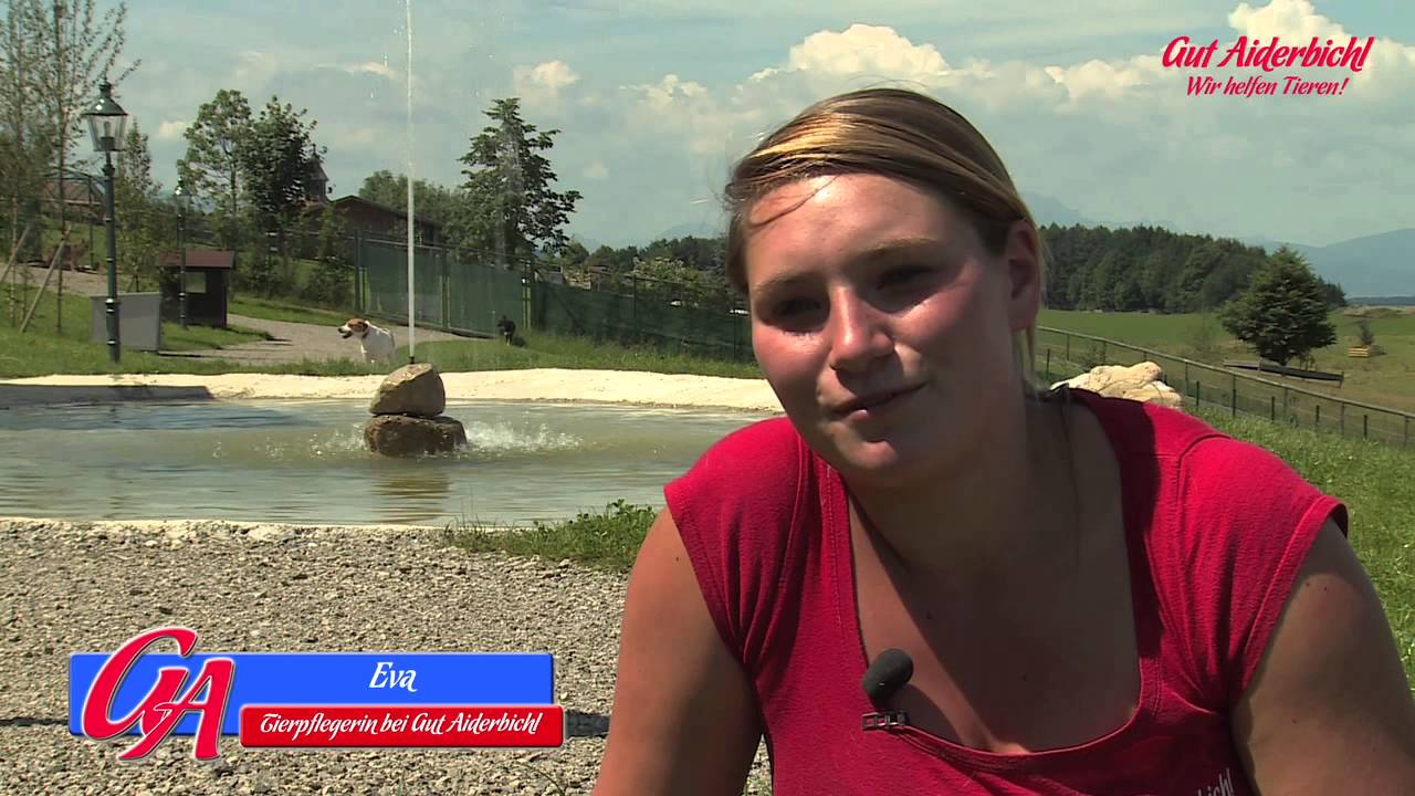 Der Hundedienst auf Gut Aiderbichl