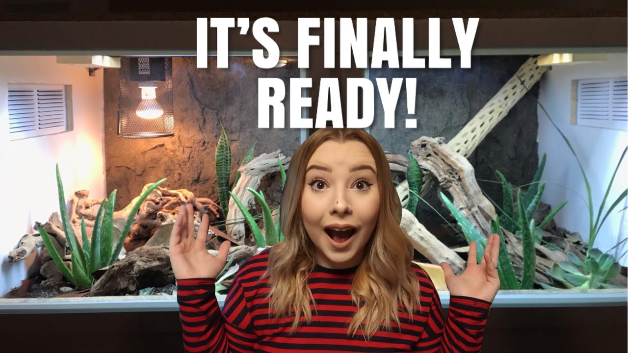 Ackie Monitor Cage Tour! | My Bioactive Ackie Cage