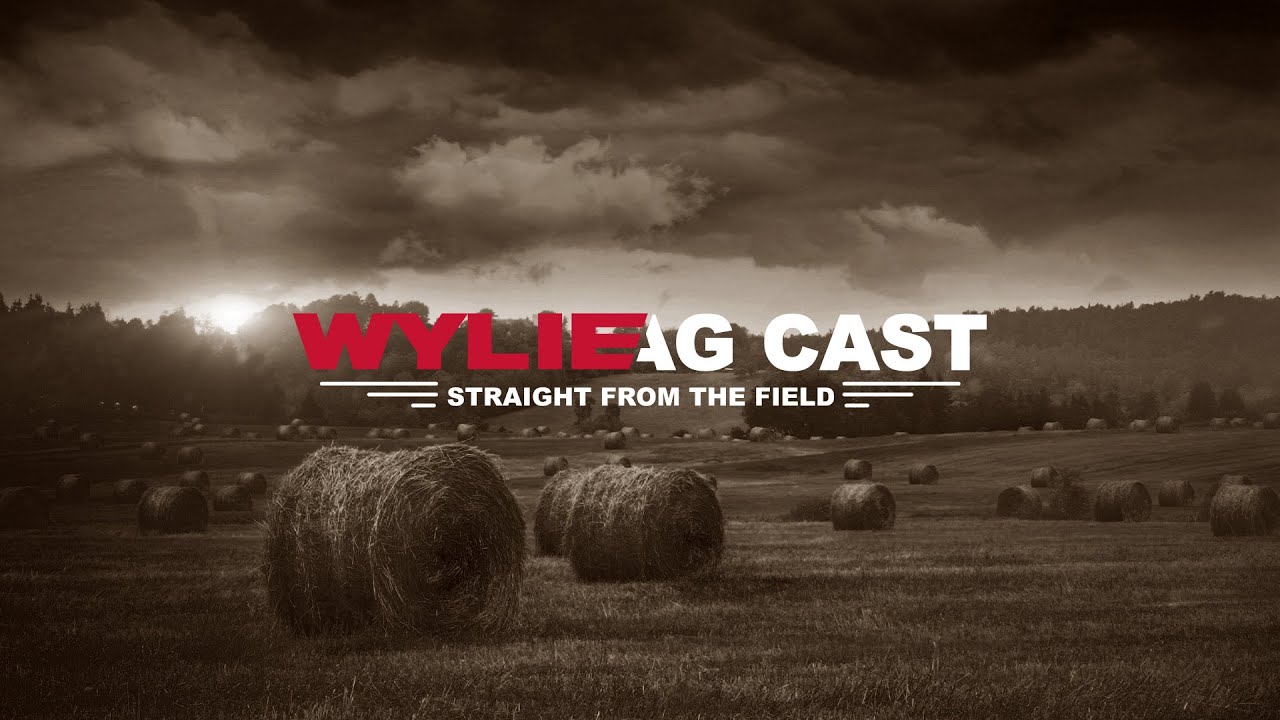 Inside Wylie Manufacturing: People Come First, with Stephen Rankin | The Wylie AgCast