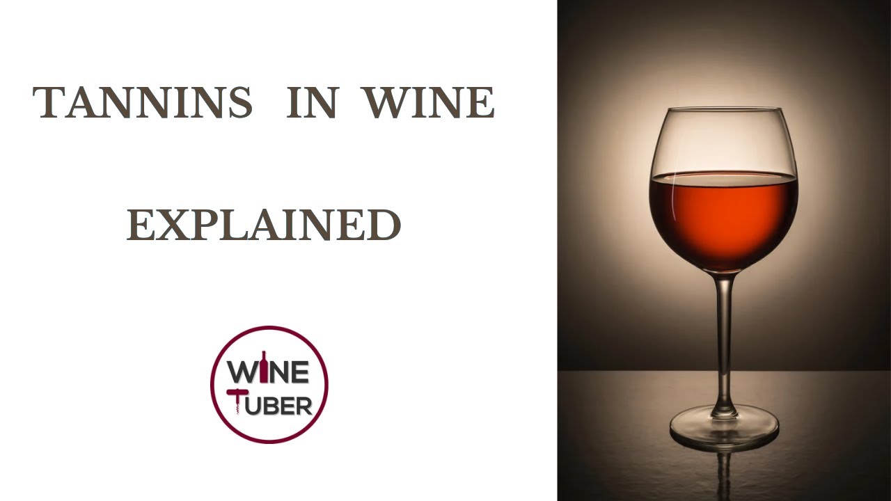 Tannins in wine explained | @WineTuber