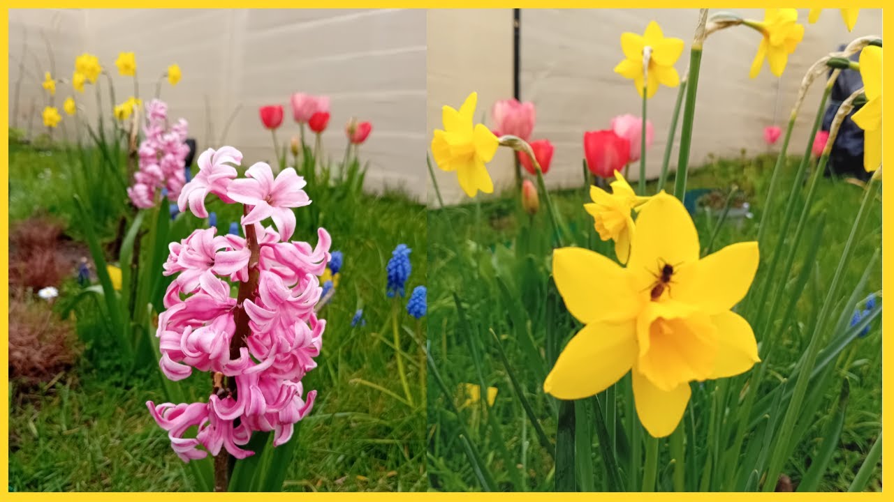 Na campingu luty i marzec😍🌸🟢🦆 #campinglife #vlog