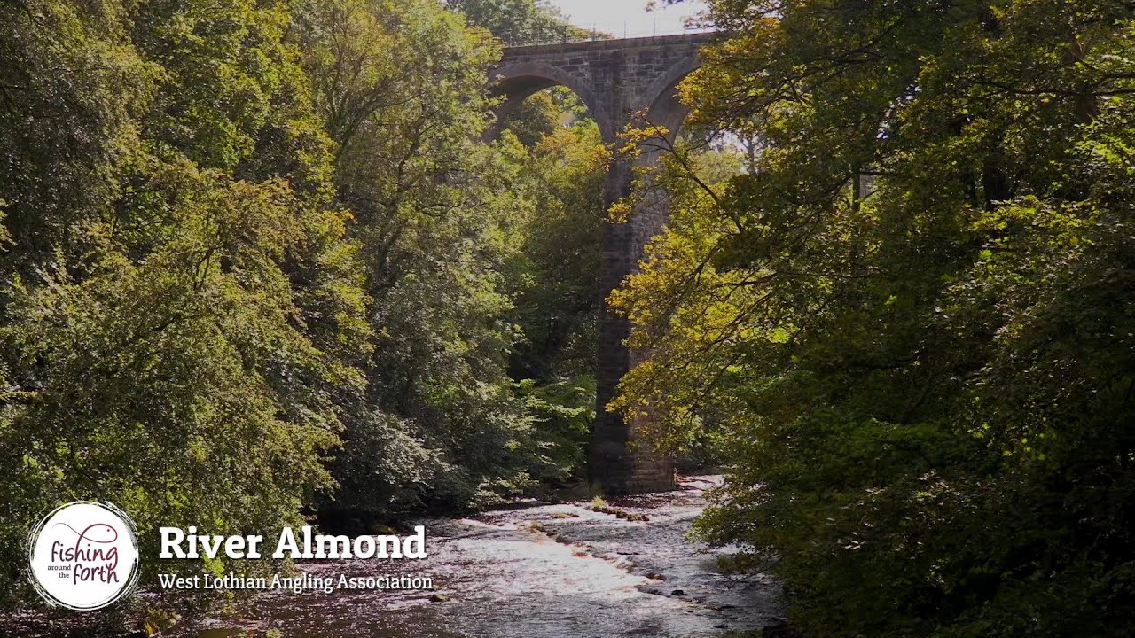 Fishing around the Forth - West Lothian Angling Association - River Almond