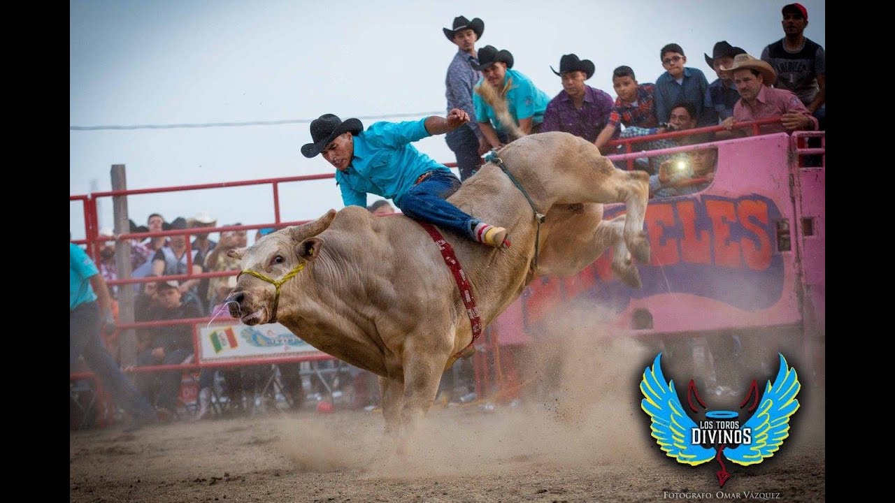 !pocas veses lo miran caer ! AL  MOROCO DE PATZCUARO EN CHICAGO