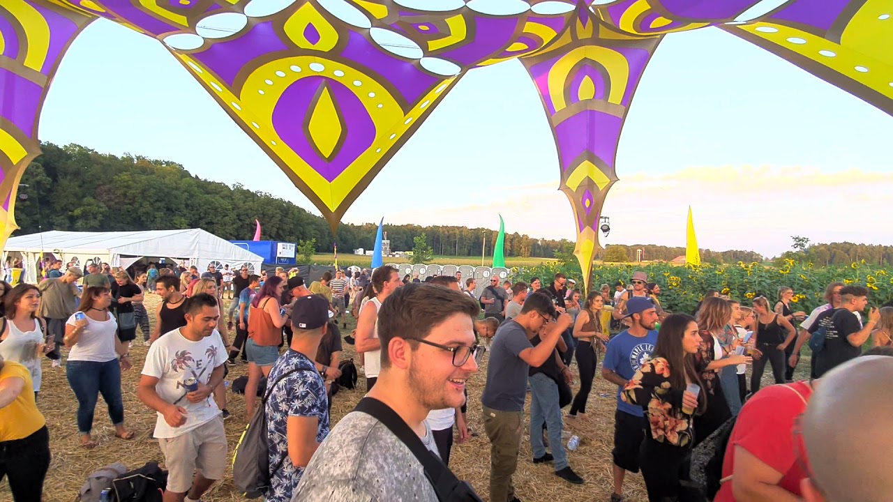 Phönix Festival 2019 Bassforscher 1.1