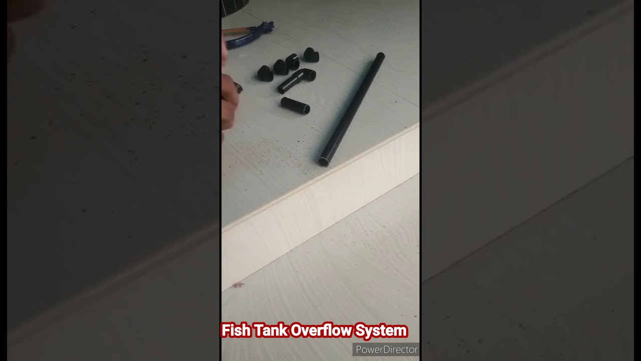 Low cost overflow preventing system for fish tank