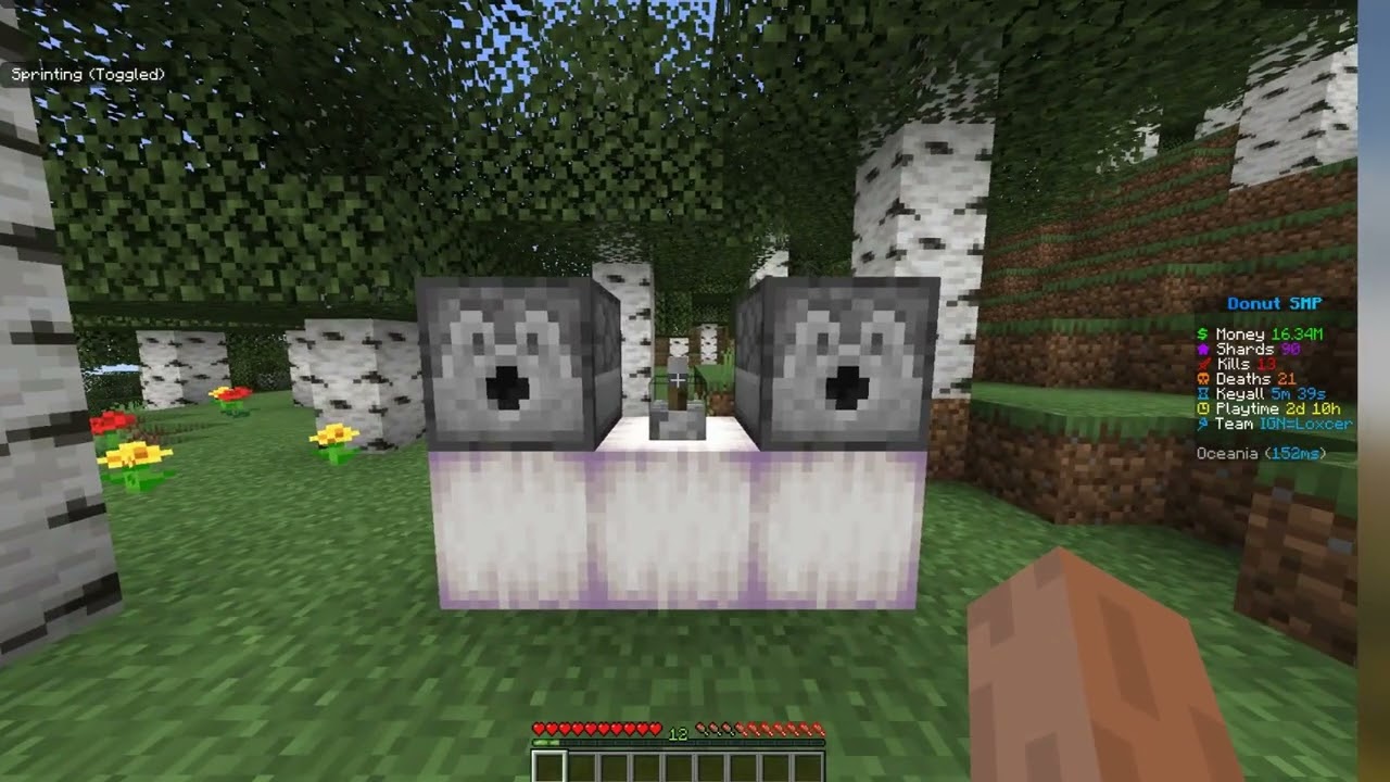 Gamble Rig Tutorial (Donut SMP Paper Game)