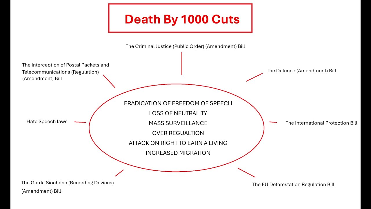 Death By 1000 Cuts - A review of the Irish Government's Summer Legislative Programme