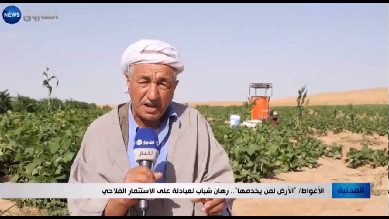 الأغواط: 