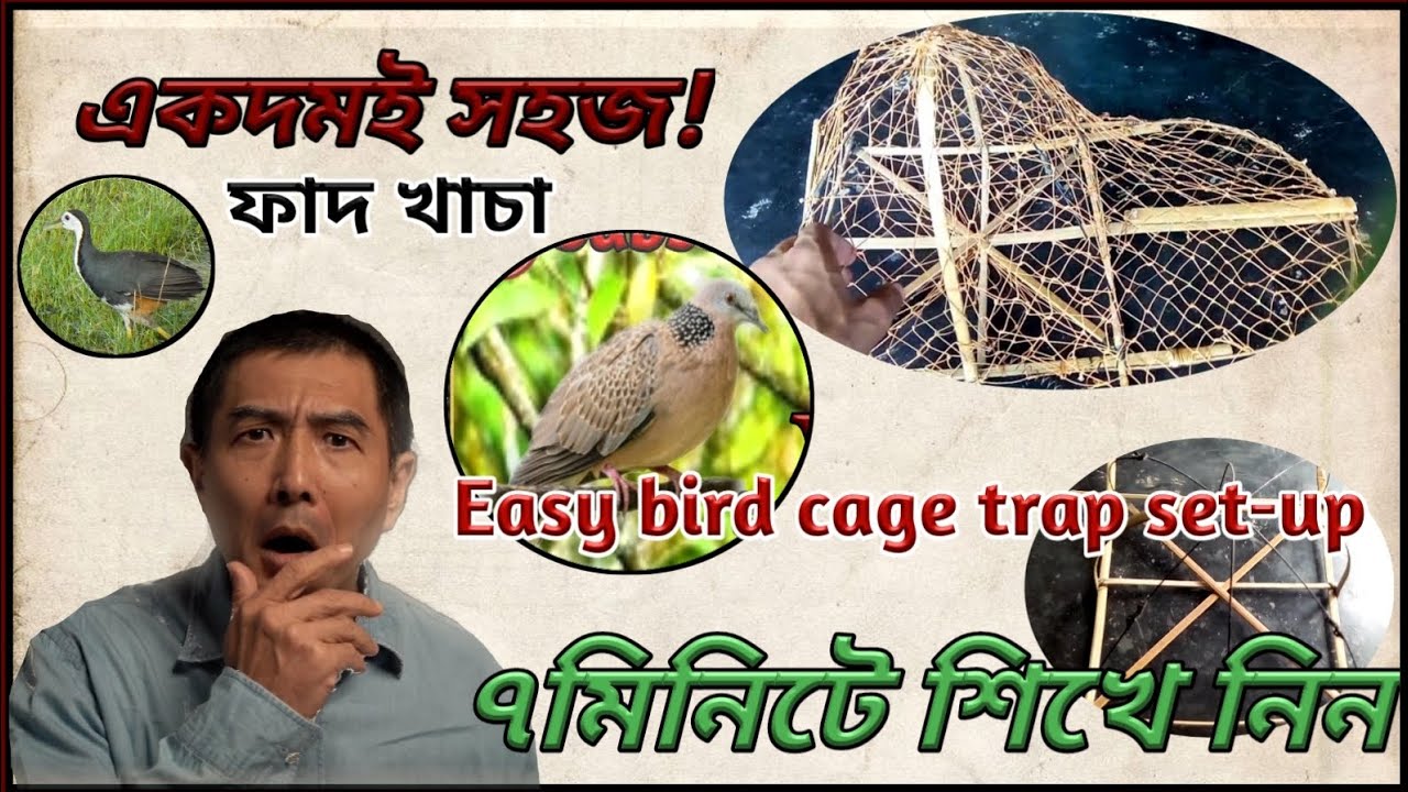 ঘুঘু পাখি ধরার ফাদ খাঁচা বানানোর সহজ উপায় | Traditional Spotted Dove Cage Trap DIY |#howto #trap 