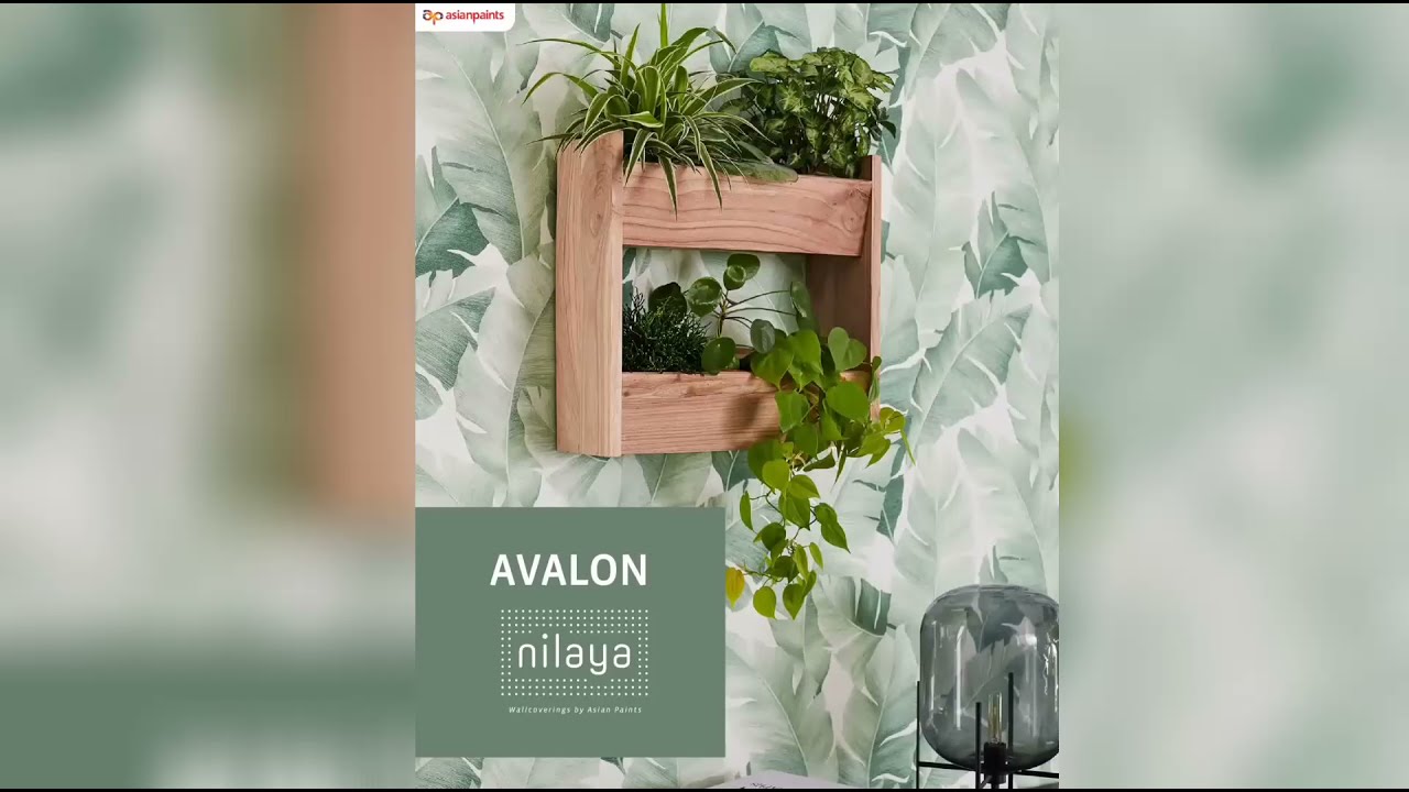 AVALON - NILAYA WALLCOVERINGS BY ASIAN PAINTS 🧱