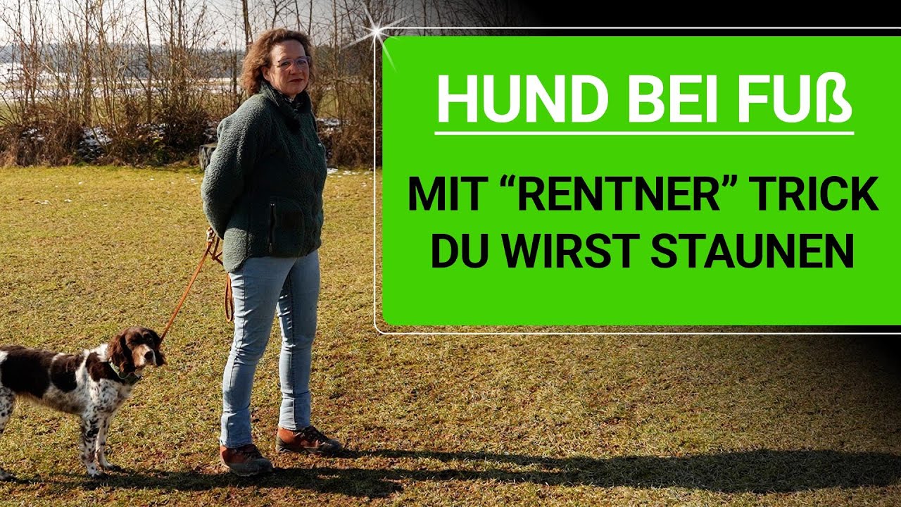 💥🐶 Hund Fu&szlig; beibringen mit simplen 