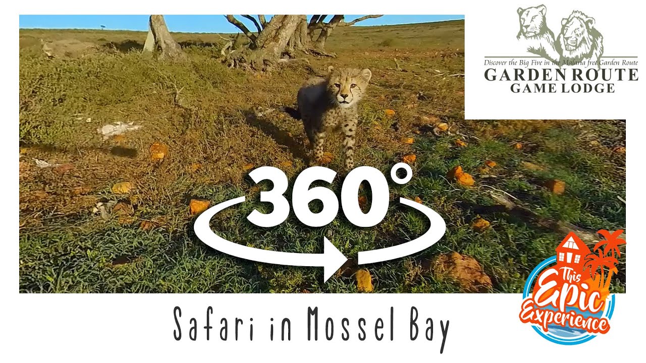 Meet the Garden Route Game Lodge in 360° Virtual Reality