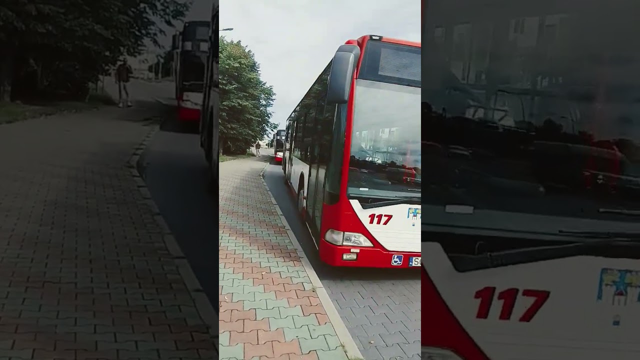 linia 100 i 58 na przystanku BIENIA