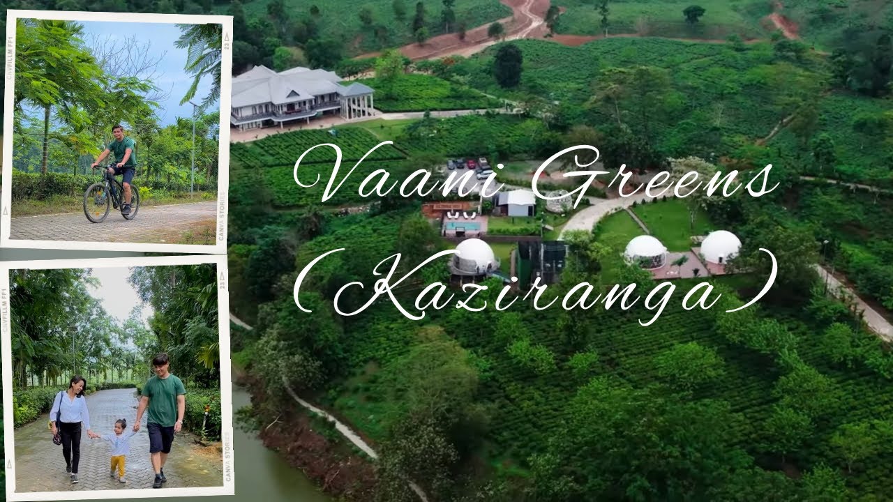 Vaani Greens | Kanchanjuri Tea Estate | Grandeur in Green | Kaziranga | Luxury Resort in Assam