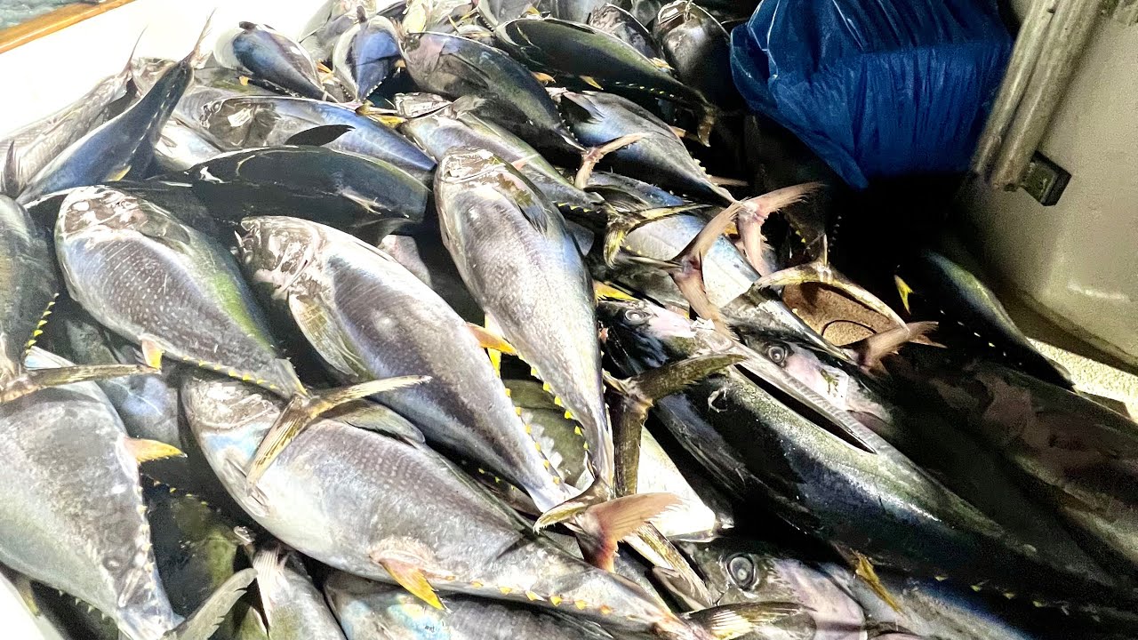 2 дня: границы голубого тунца! Часть 1 из 2 [Highliner Sportfishing] с @Dirty.Hookers